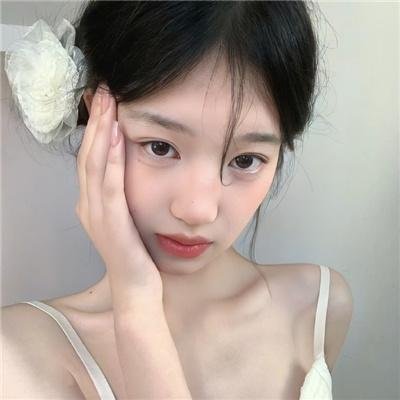 斑马头